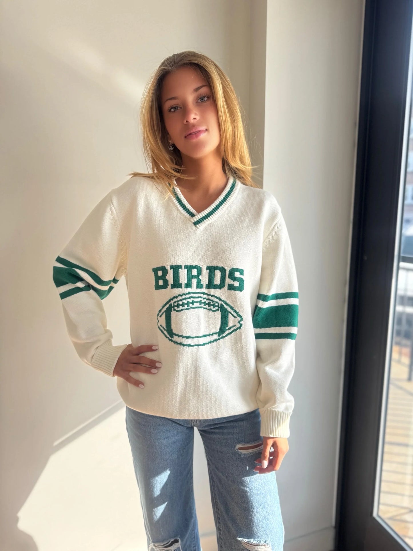 Birds V Neck Varsity Sweater