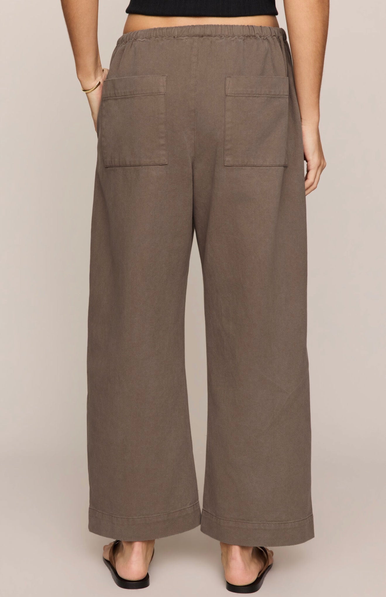 Z Supply Kit Twill Carpenter Pant
