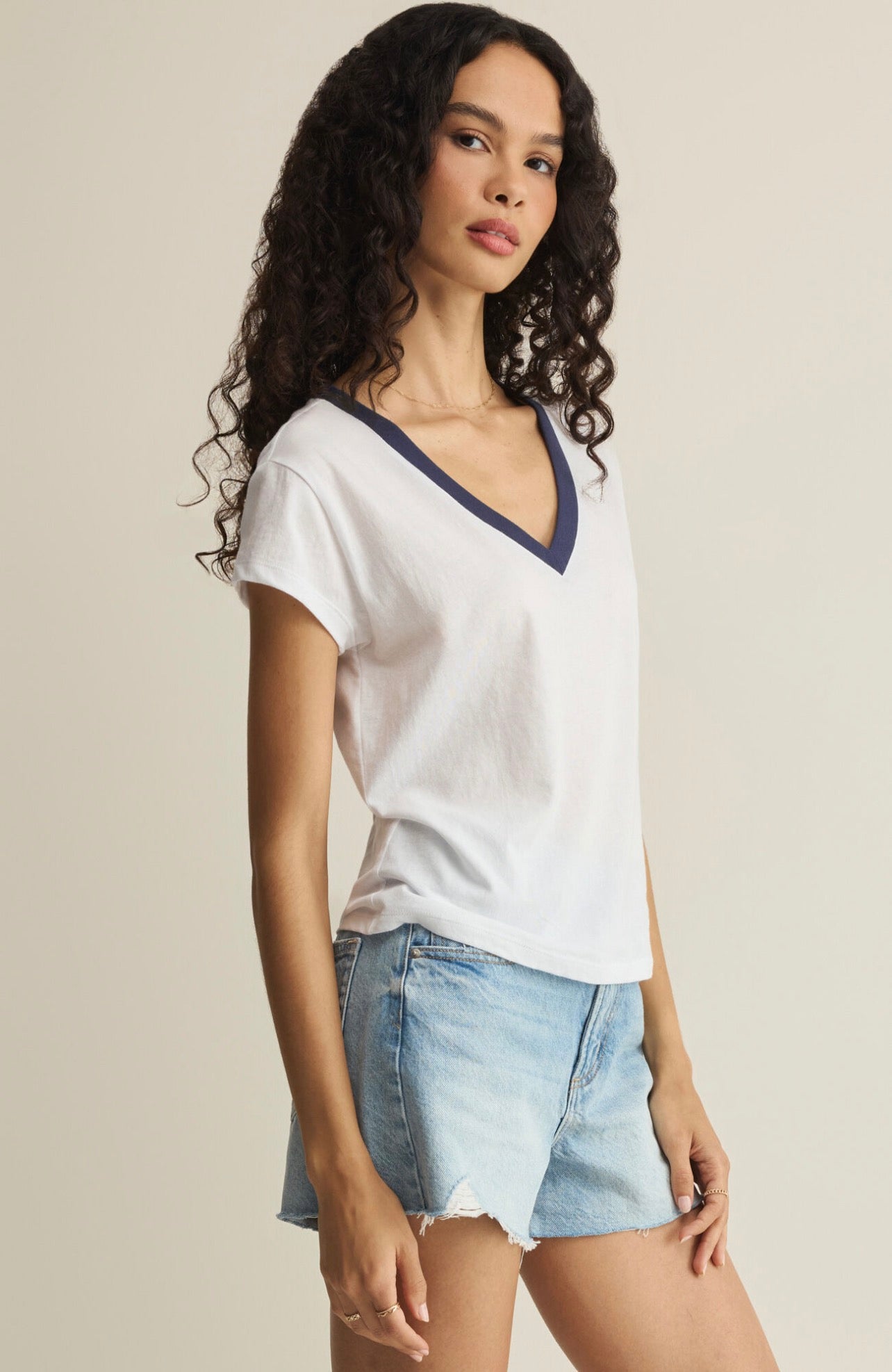 Z Supply Modern Colorblocked V-Neck Tee
