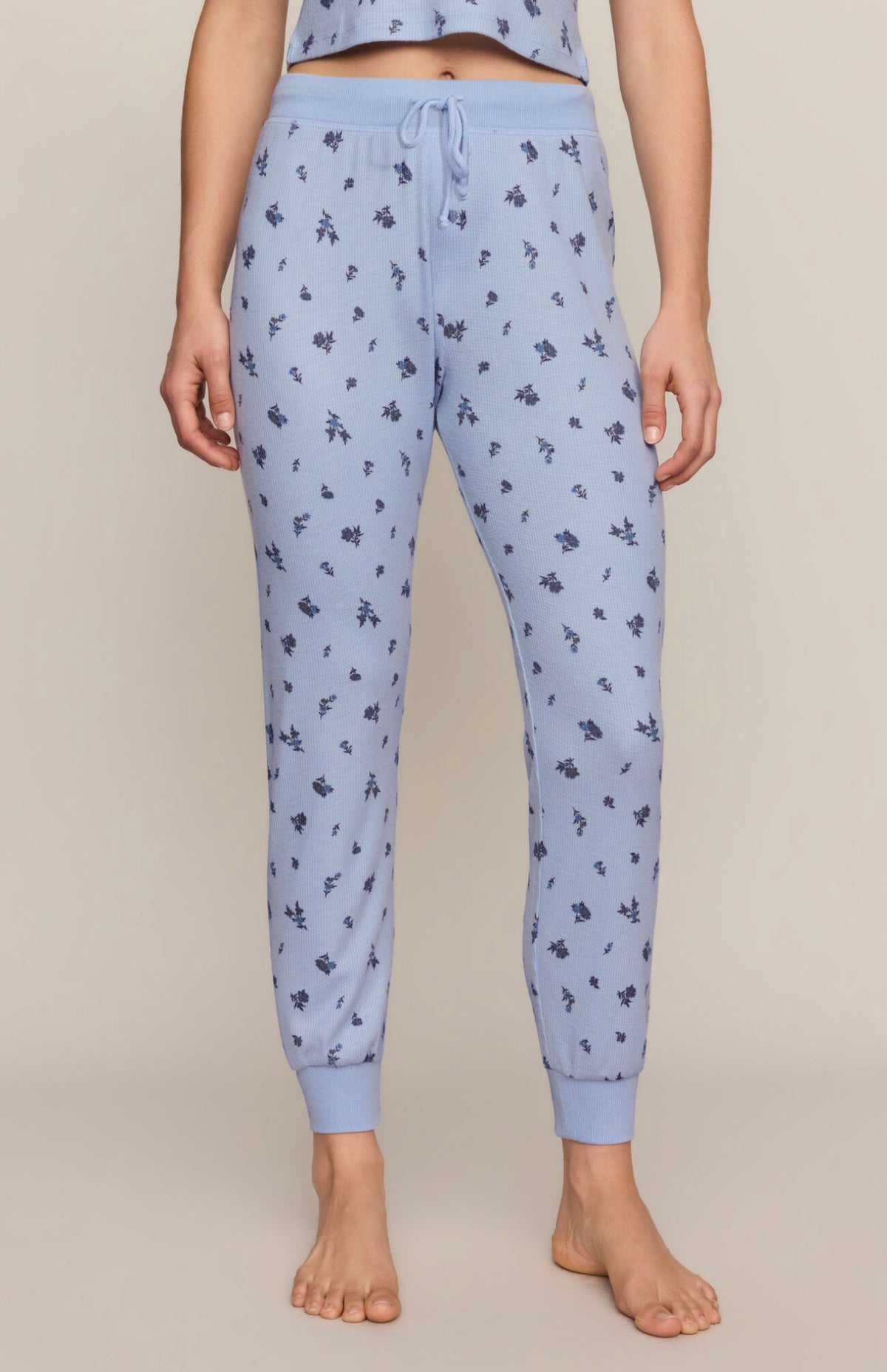 Z Supply Ditsy Jogger