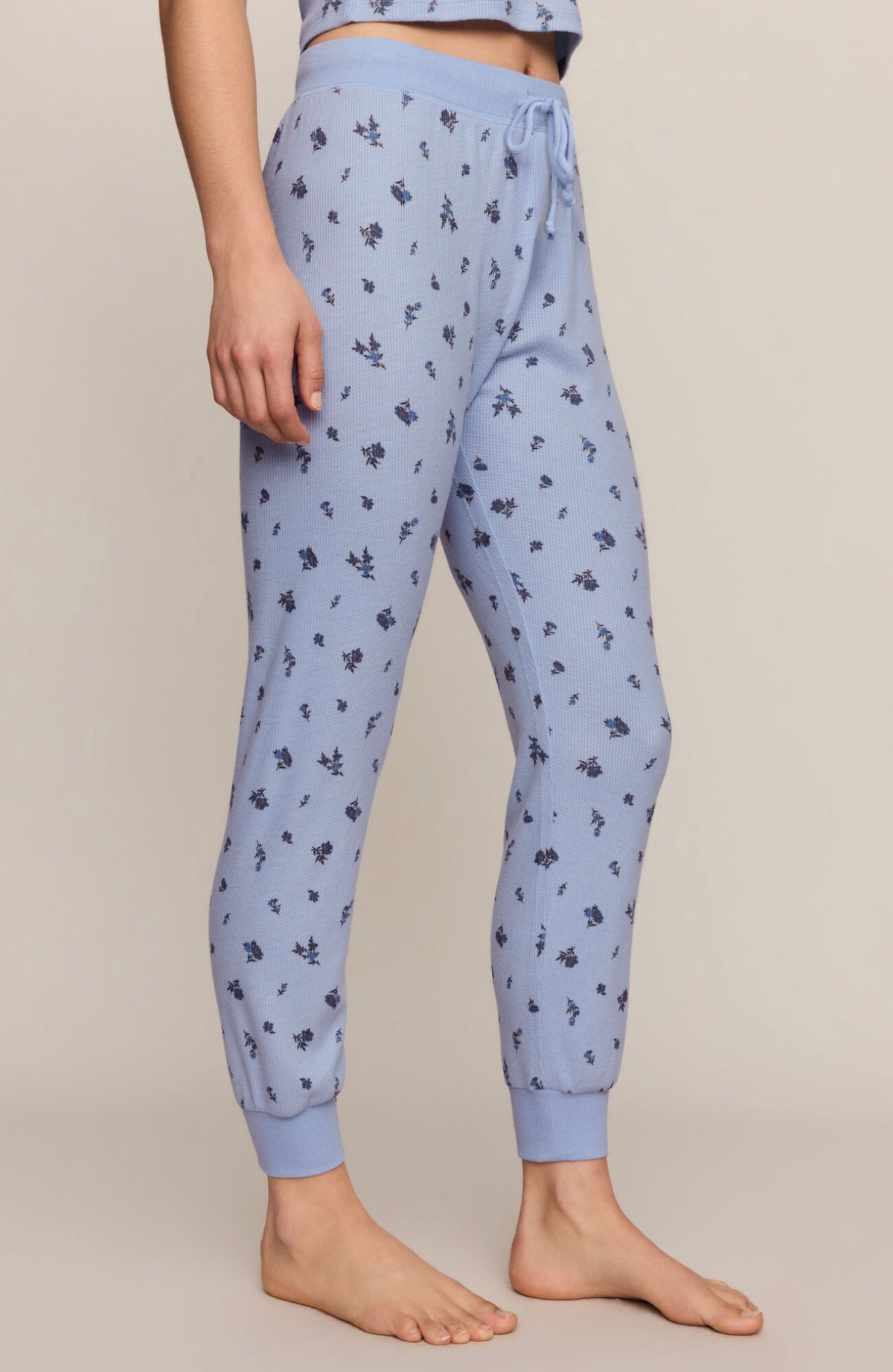Z Supply Ditsy Jogger
