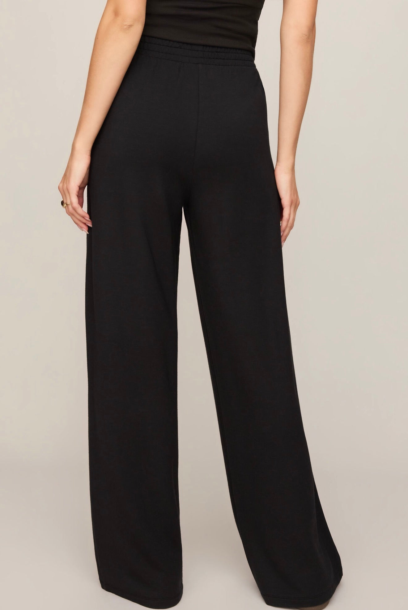Z Supply In Transit Modal Pant