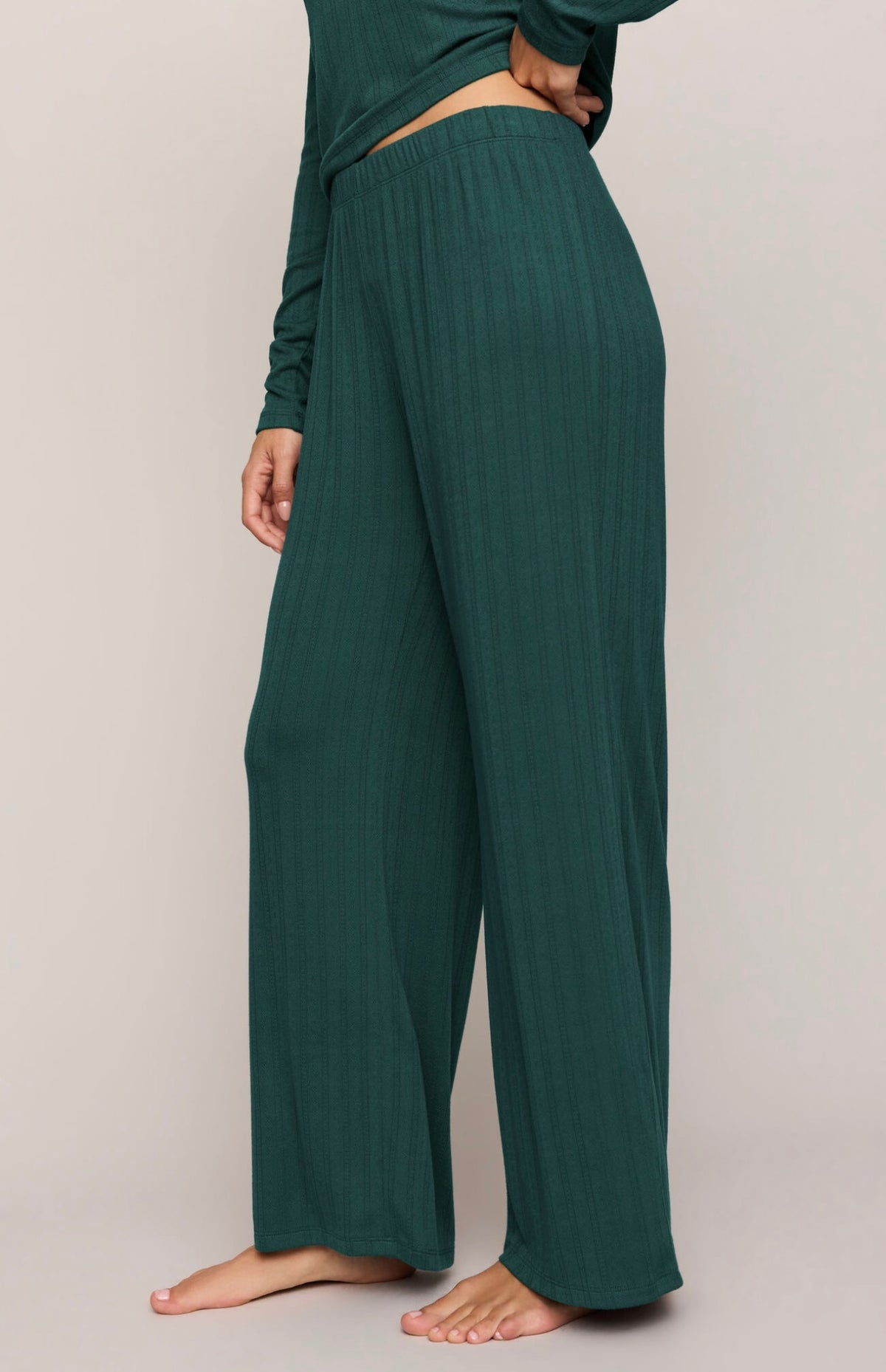 Z Supply Aries Knit Pant