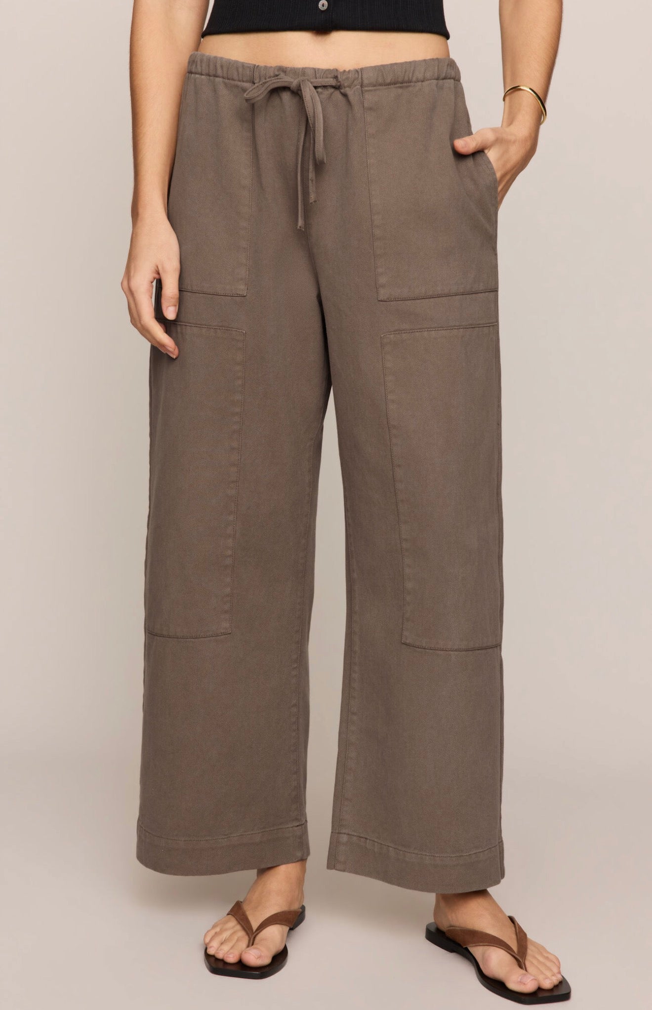 Z Supply Kit Twill Carpenter Pant
