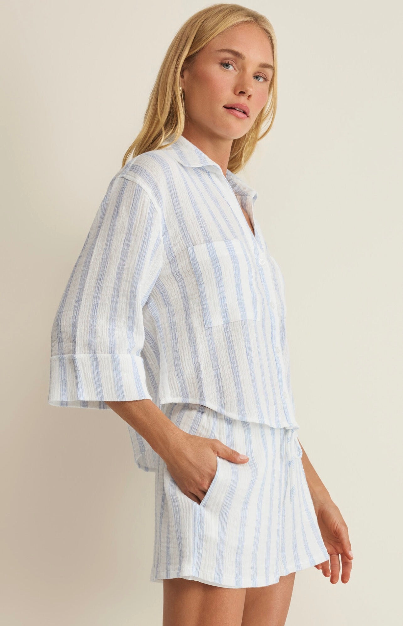 Z Supply Helena Striped Shirt