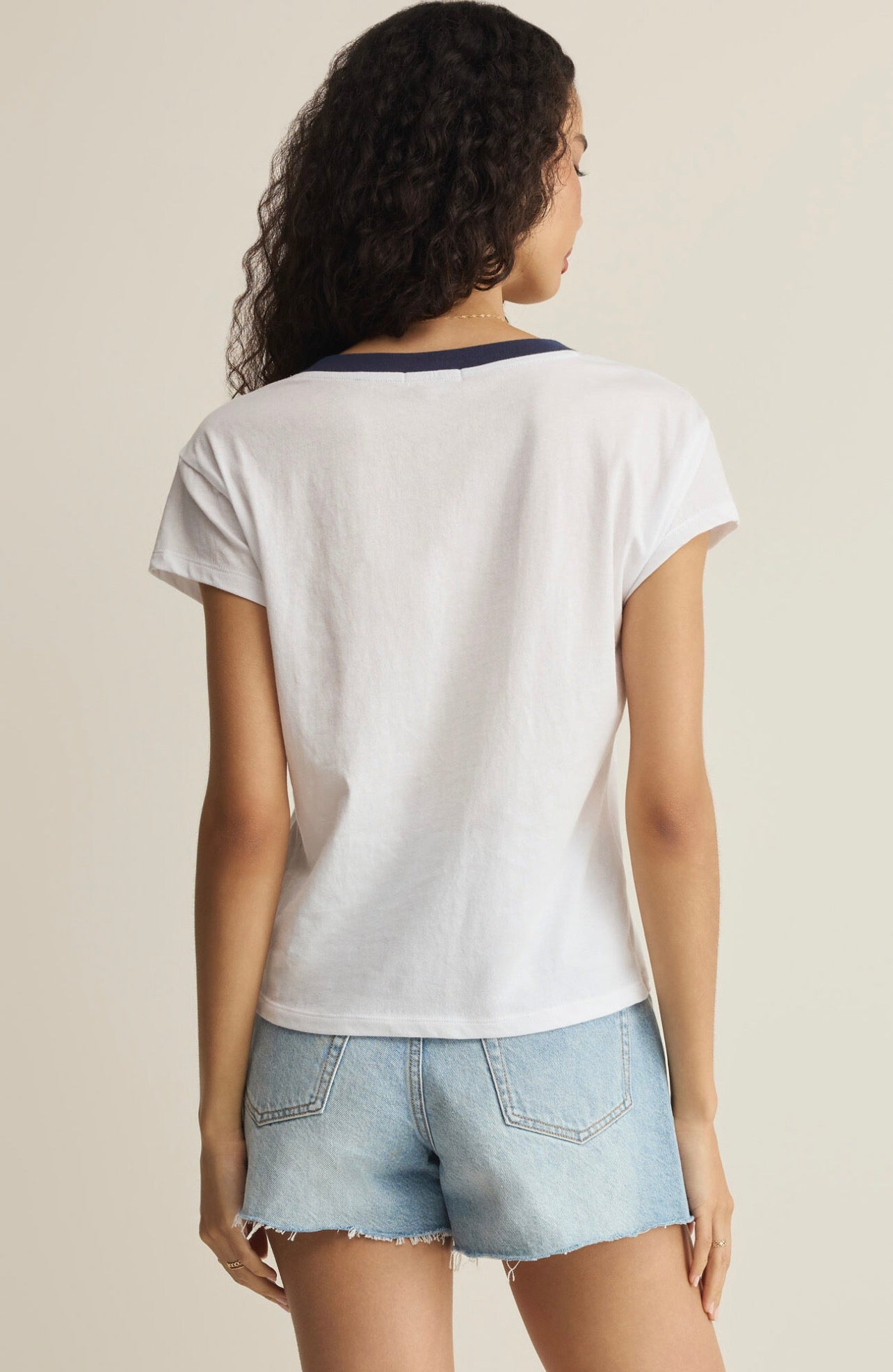 Z Supply Modern Colorblocked V-Neck Tee
