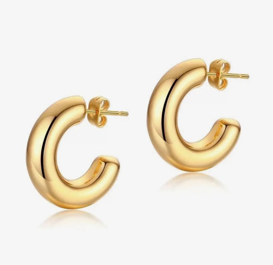 Sahira Chloe Mini Hoop